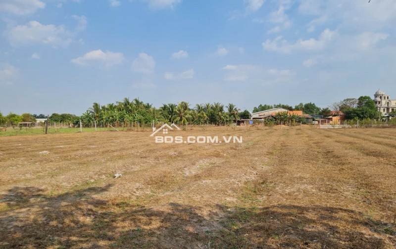 Ngân hàng phát mãi bất động sản tại mặt tiền đường ĐT 821, xã An Ninh, Tỉnh Tây Ninh (trước là xã Lộc Giang, huyện Đức Hòa, tỉnh Long An).